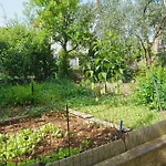 Veronika's House * Pula