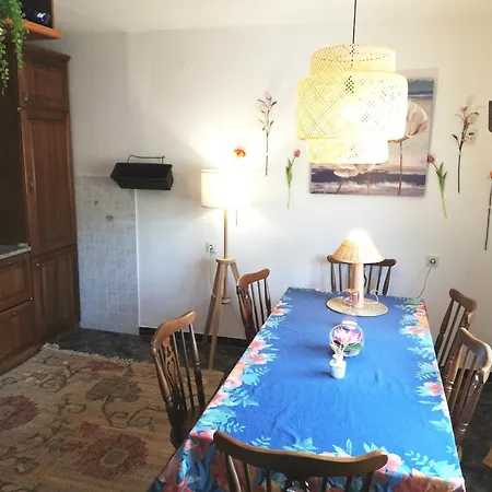 Veronika's House