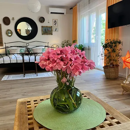Apartment Veronika's House *