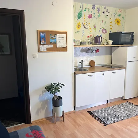 Apartment Veronika's House *