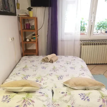 Διαμέρισμα Veronika's House *
