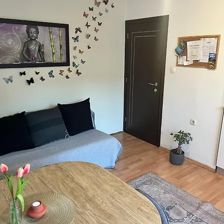 Апартаменты Veronika's House *